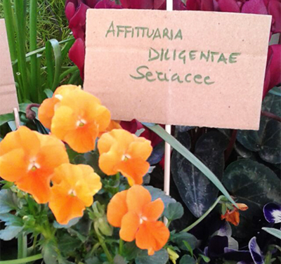 Prenditi cura del tuo inquilino e lui ti ripagherà